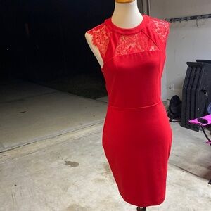 Express lace Dress